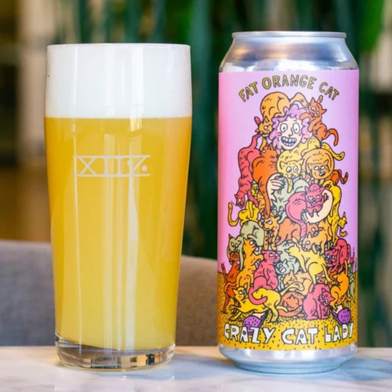 Fat Orange Cat Crazy Cat Lady 4pk CN