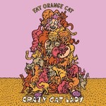 Fat Orange Cat Crazy Cat Lady 16oz CN