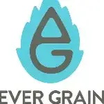 Evergrain Black Forest Stout 4pk