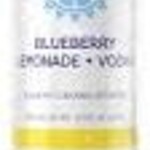 Surfside Blueberry Lemonade 4pk