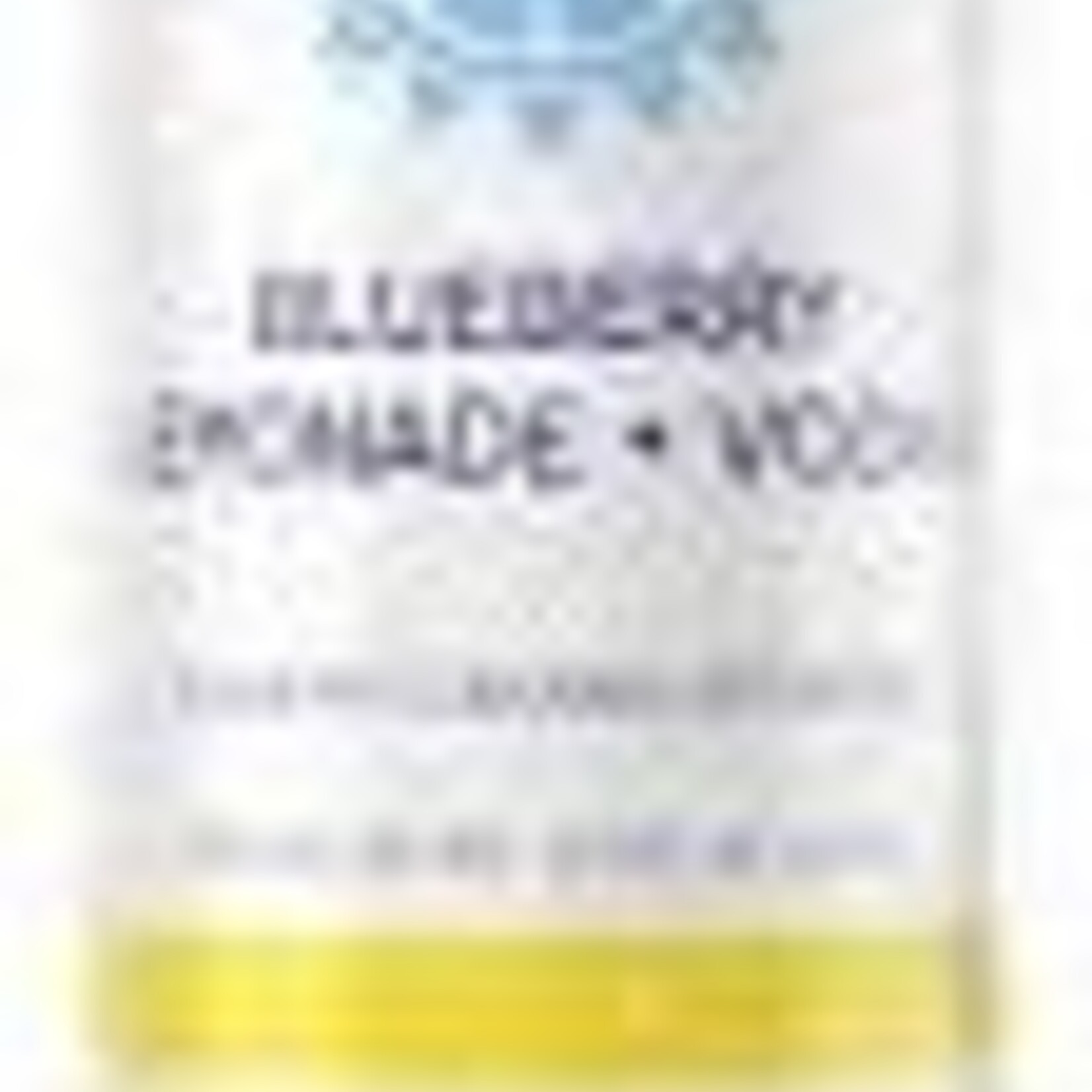 Surfside Blueberry Lemonade 4pk