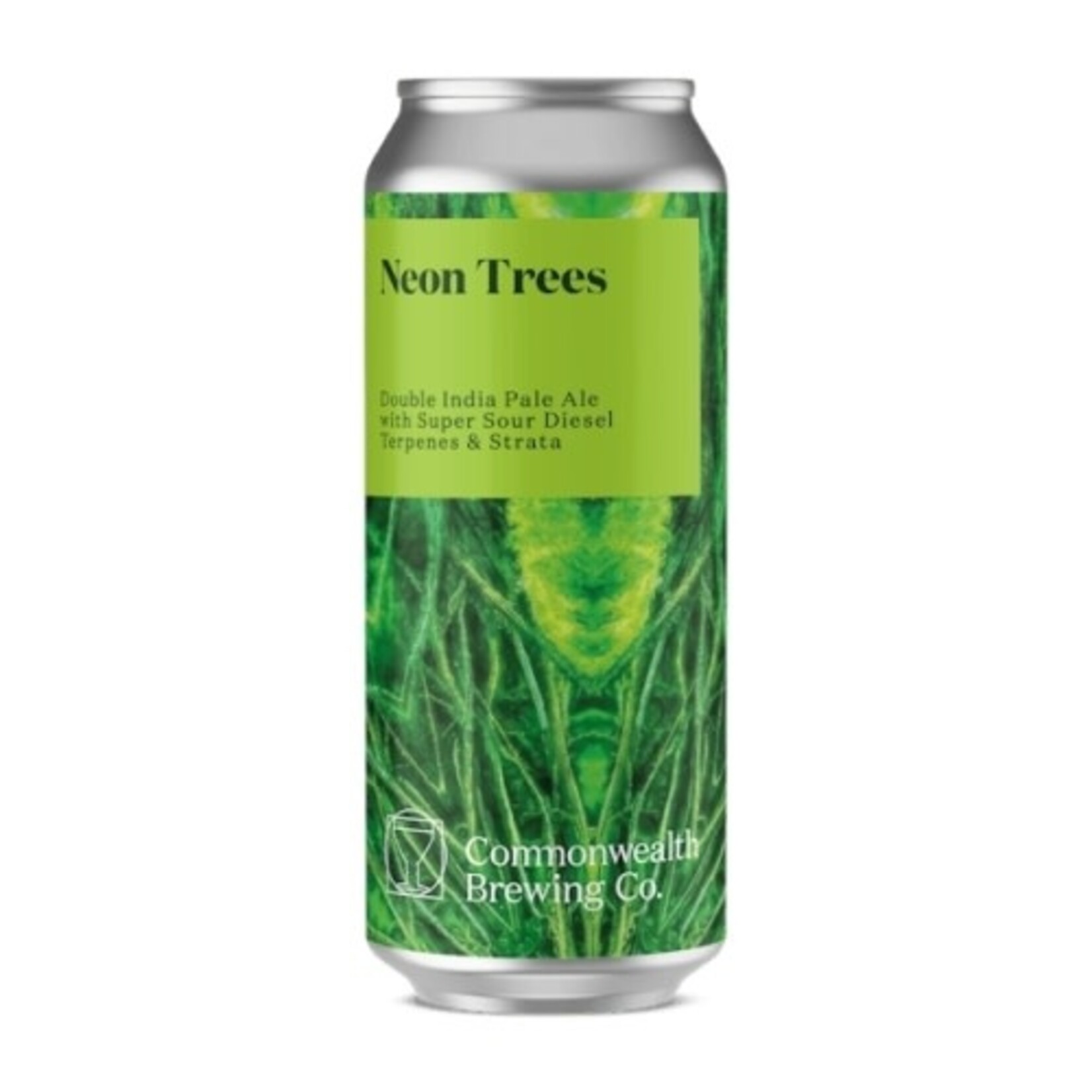 Commonwealth Neon Trees 4pk