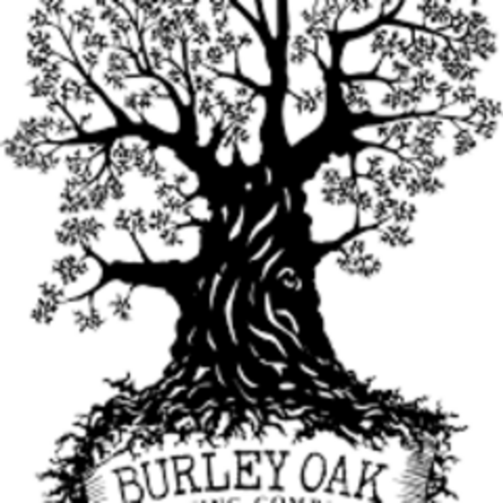 Burley Oak 100: Mosaic 16oz CN