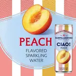 San Pellegrino Ciao Peach 11.15oz