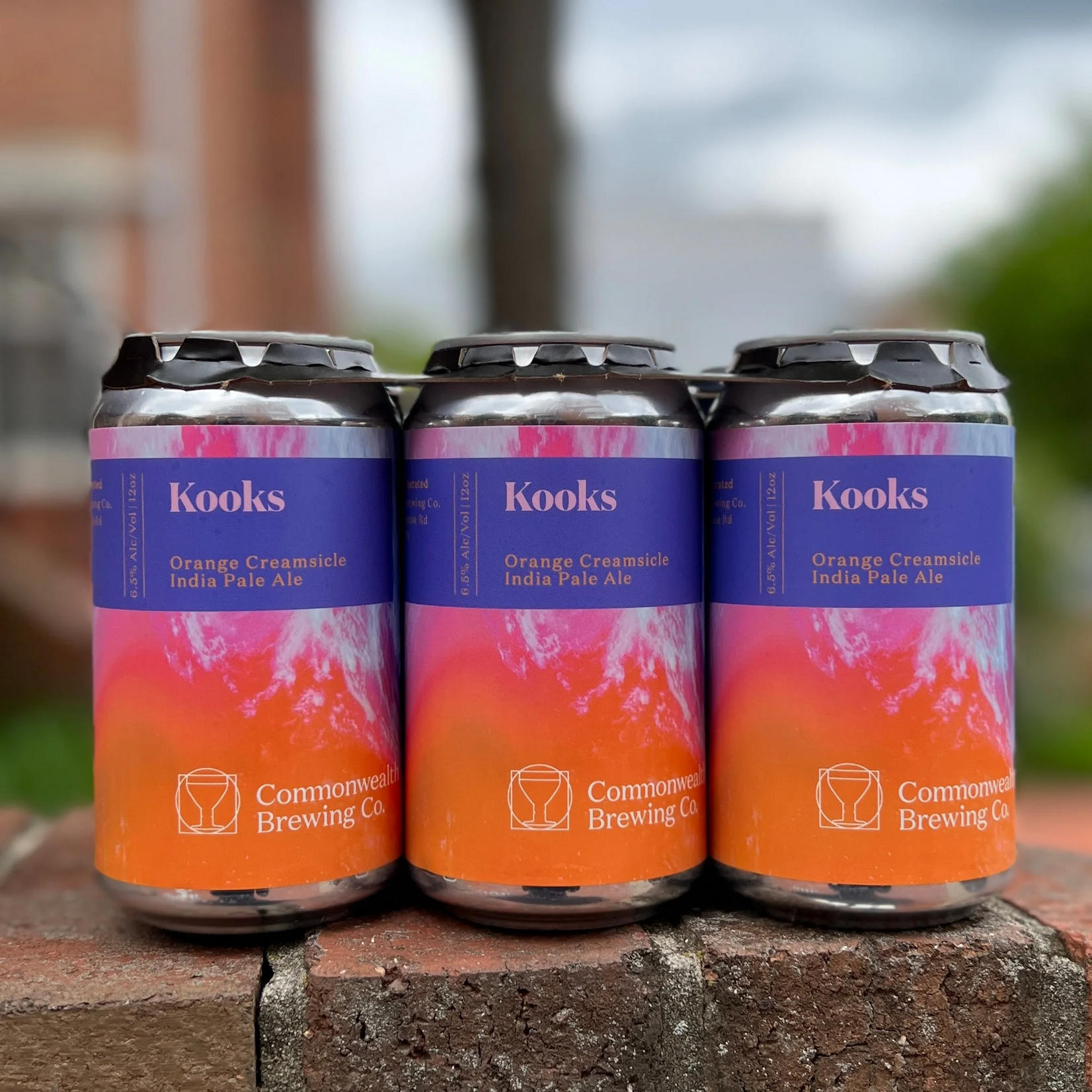 Commonwealth Kooks 6pk CN