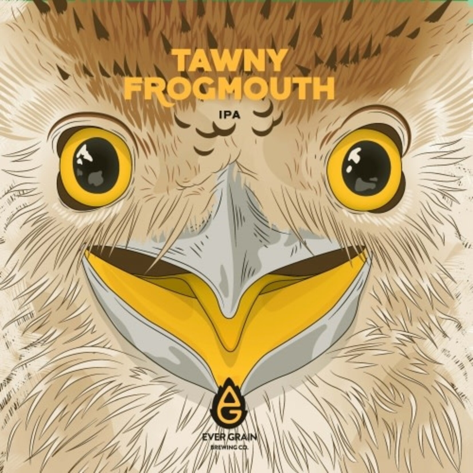 Evergrain Tawny Frogmouth 4pk