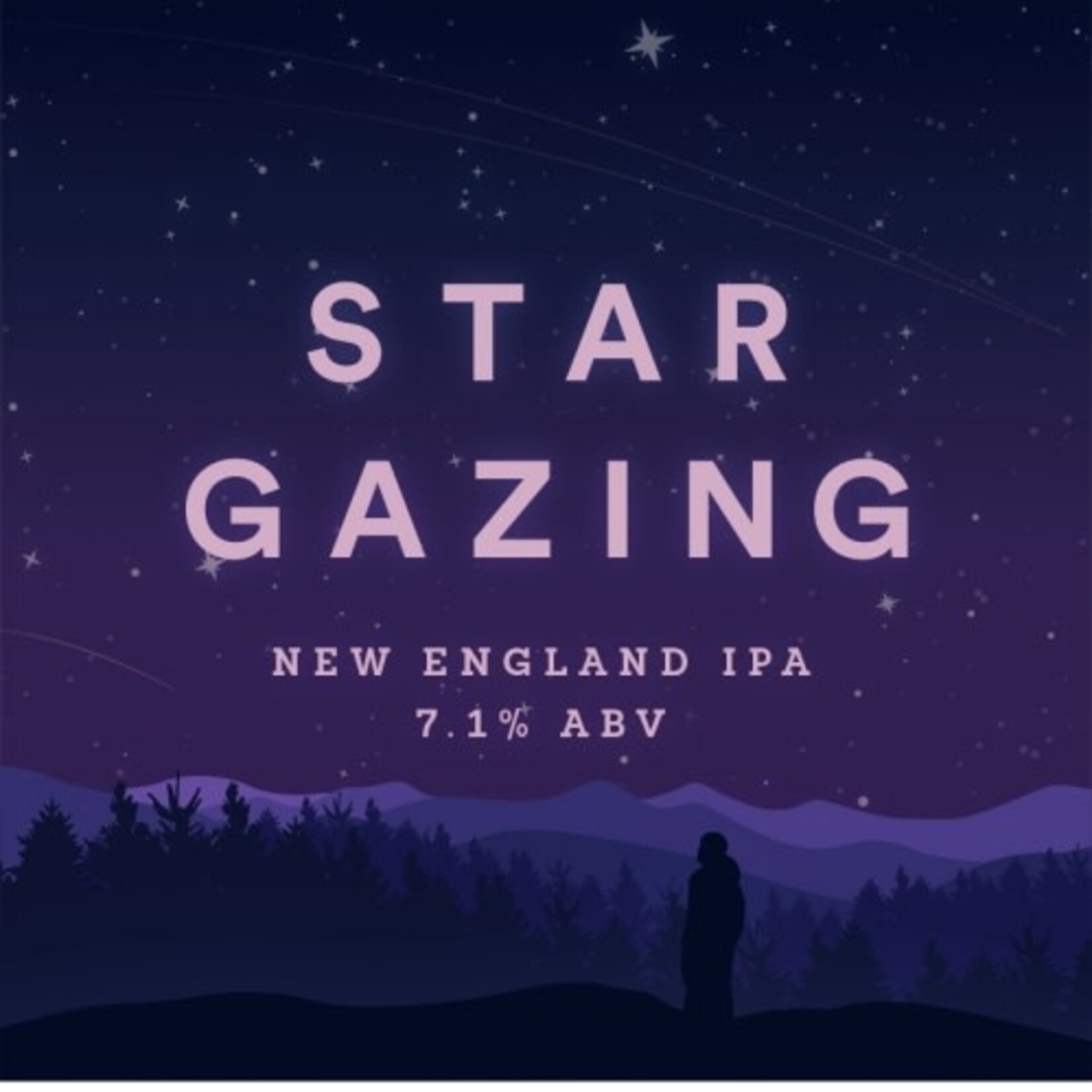 Beer Tree Star Gazing 4pkCN