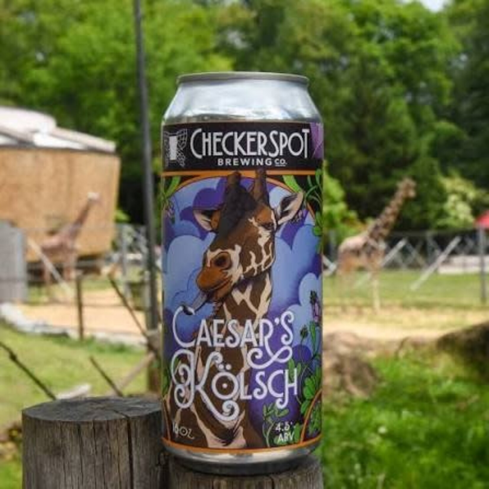 Checkerspot Caesar's Kolsch 4pk CN