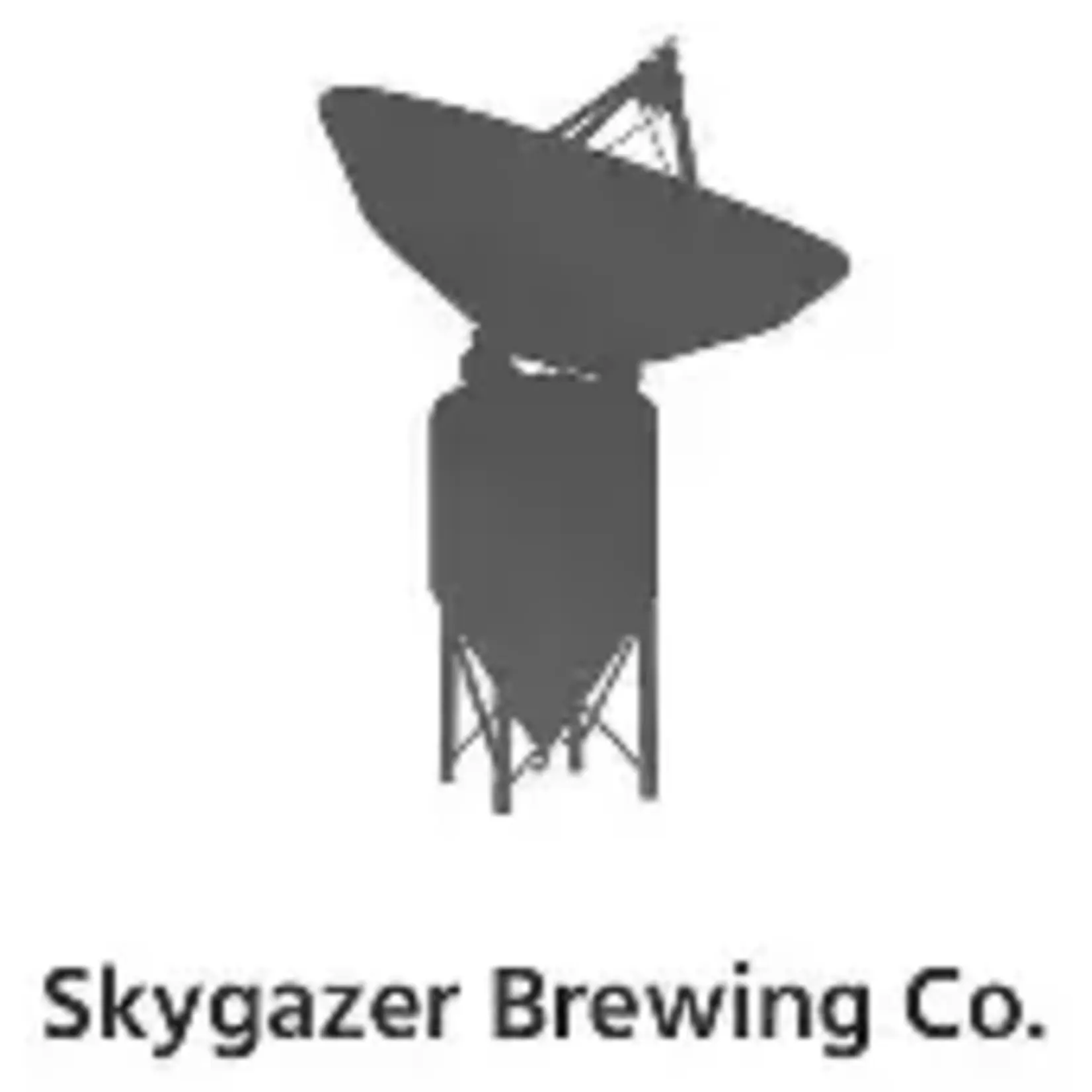 Skygazer Brambleberry Sour 4pk