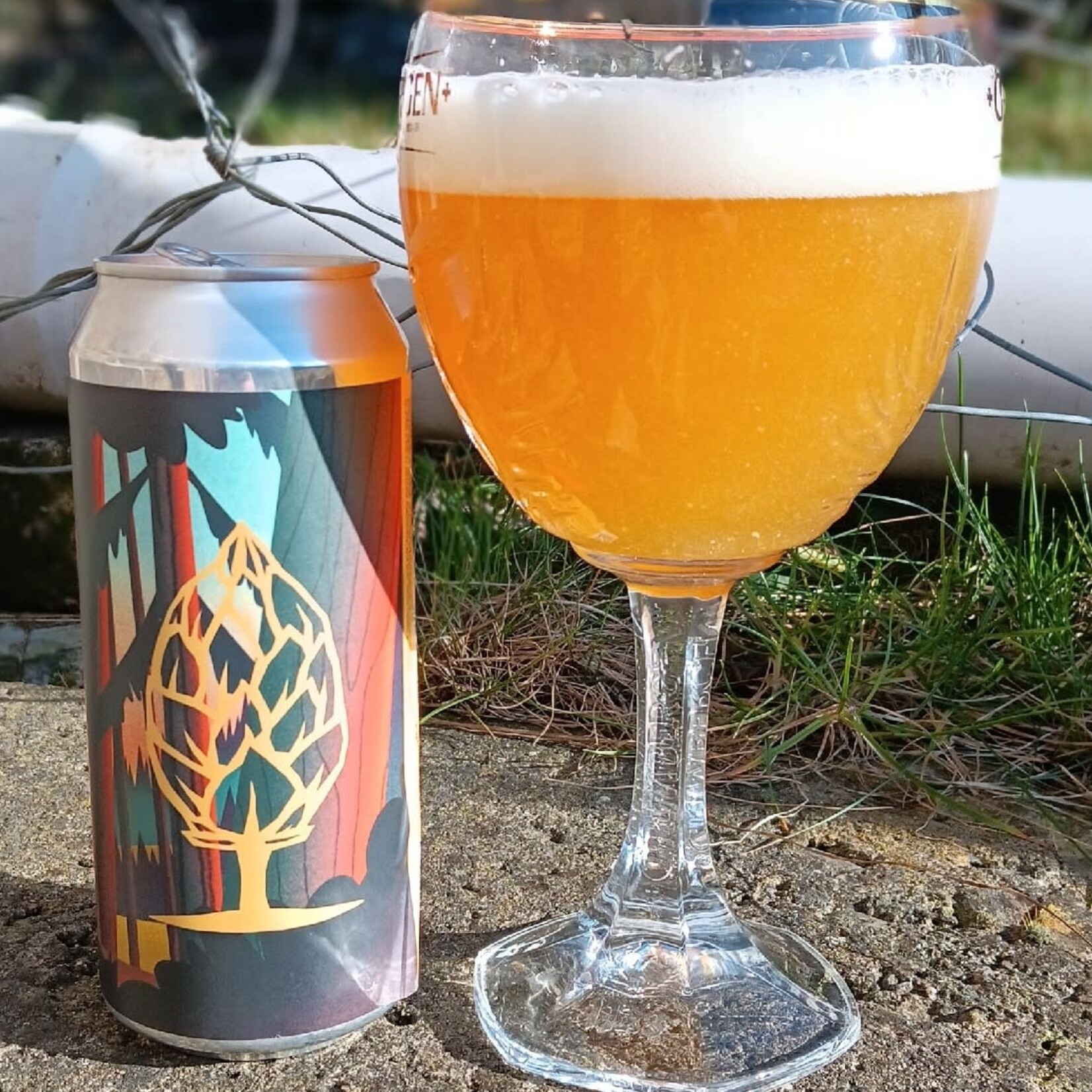Beer Tree Lost Forest 16oz CN