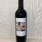 Bodegas Navarrsotillo Garnacha Gaupasa (2023) 750ml