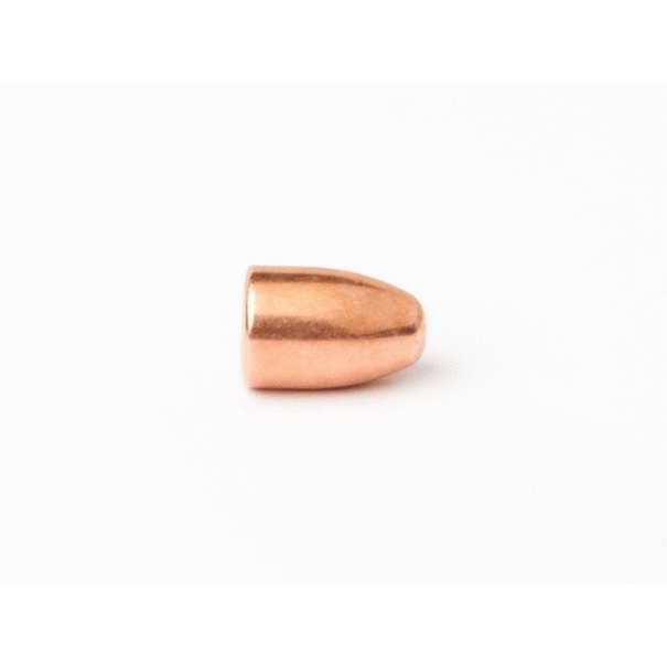 CamPro (1000 ) 9MM 115 GR RN FCP Bullets