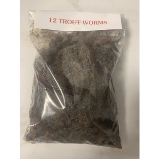 Fresh Live Bait Inc. 12 Trout Worm Baits