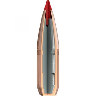 Hornady 6MM  95 GR SST Bullets