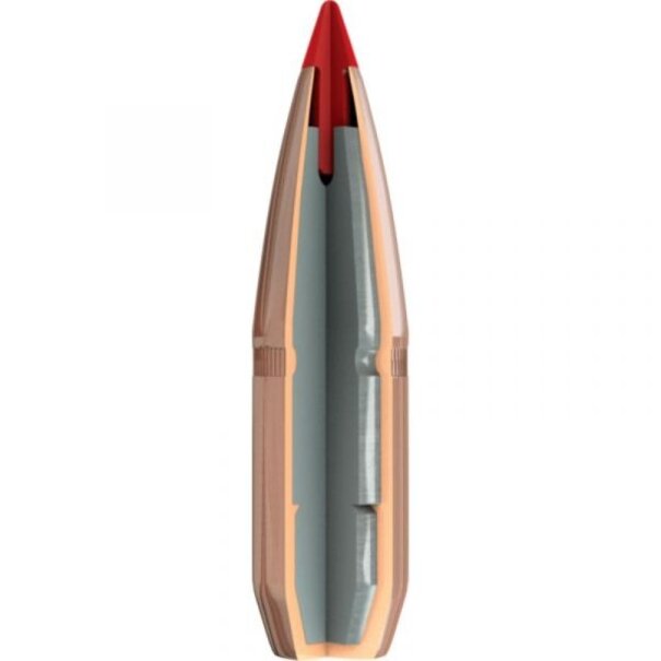 Hornady Hornady 6MM .243" 95 GR SST Bullets