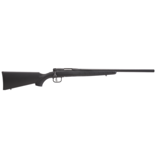 Savage B.MAG 17 WSM