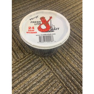 Fresh Live Bait Inc. 24 Dew Worm Baits