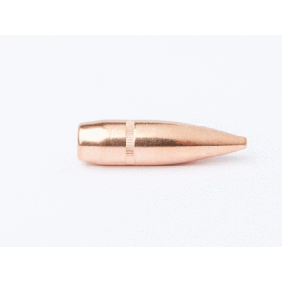 CamPro (500) 308 CAL 147 GR FMJ Bullets