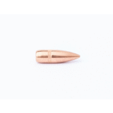CamPro (500) 223 CAL 55 GR Bullets