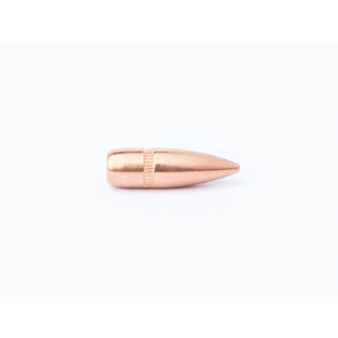 CamPro (500) 223 CAL 55 GR Bullets
