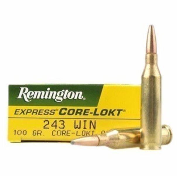 Remington 243 WIN 100 GR Ammo