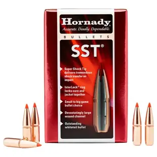 Hornady 25 CAL 117 GR SST Bullets