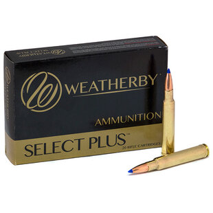 WeatherBy 340 WBY MAG 225 GR Ammo
