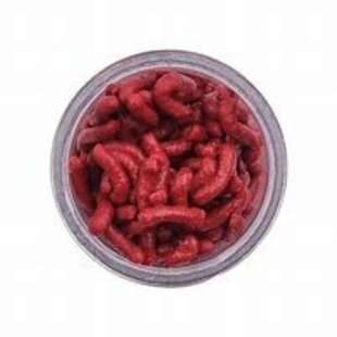 Berkley Gulp Maggots Red Wiggler Jar
