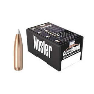 Nosler 30 CAL 180 GR Spitzer