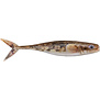 Berkley Powerbait Champ Minnow Tru-Color 10CT