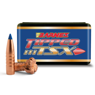 Barnes 25 Cal 80gr TTSX BT