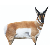 Montana Decoys Antelope Buck