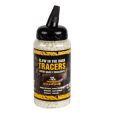 Crosman Airsoft Glow in the Dark BB's 2000ct