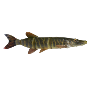 Savage Gear  4D Line Thru Pike 10''