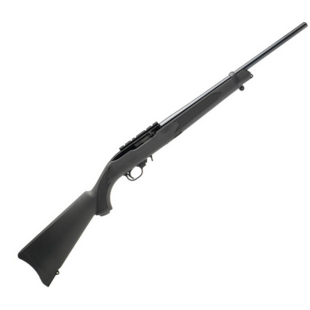 Ruger 10/22 Synthetic Blued 10rnd Mag