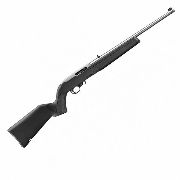 Ruger Ruger 10/22 Synthetic Stainless .22 LR
