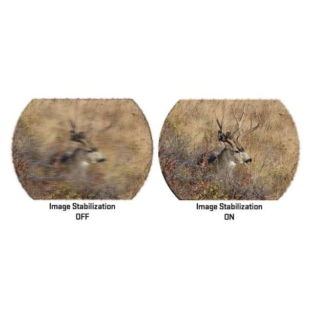 Sig Sauer Sig Sauer Oscar 6 HDX Pro Spotting Scope 16-32x60