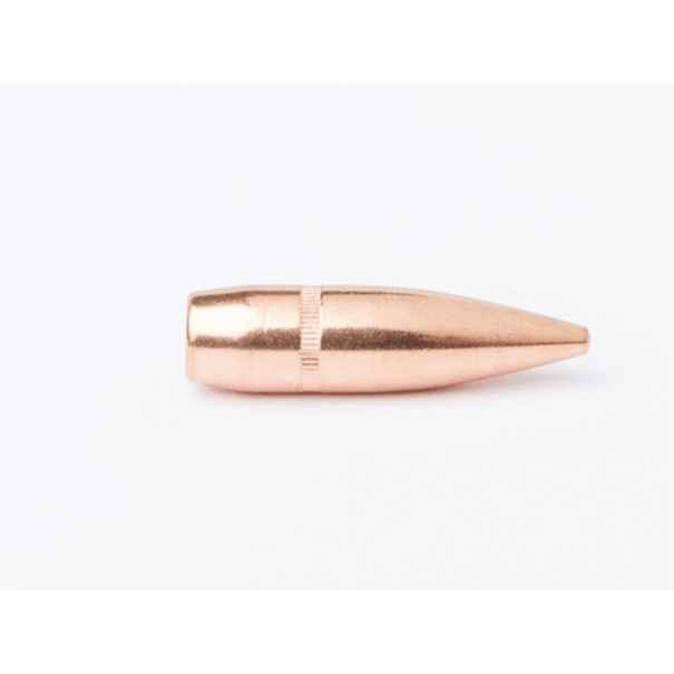 CamPro Campro Bullets