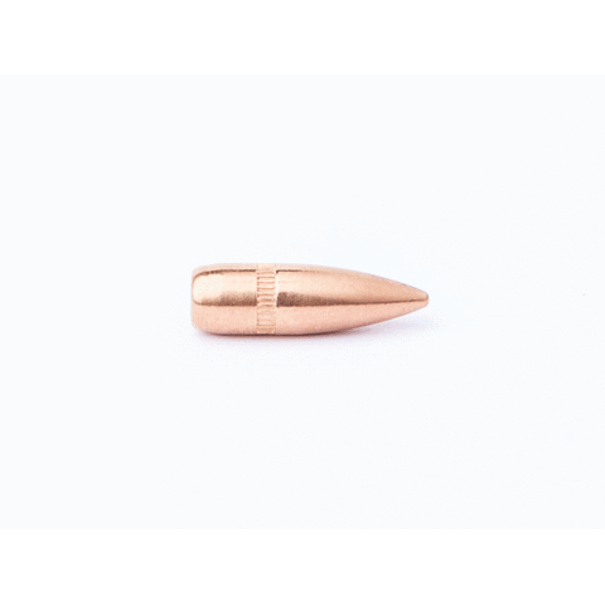 CamPro Campro Bullets