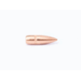Campro Bullets