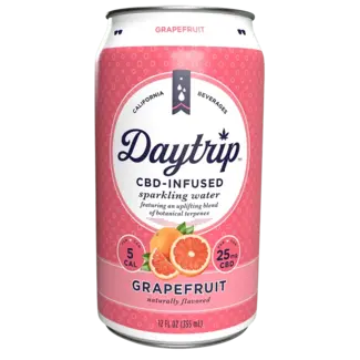 Daytrip Daytrip CBD Infused Sparkling Water - Grapefruit