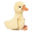 Douglas Dennie Duck Soft