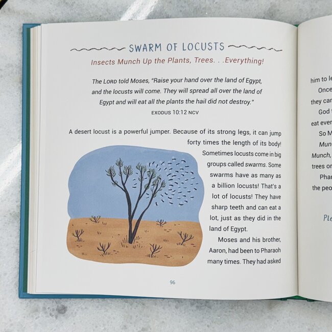 A Year of Bible Animal Stories