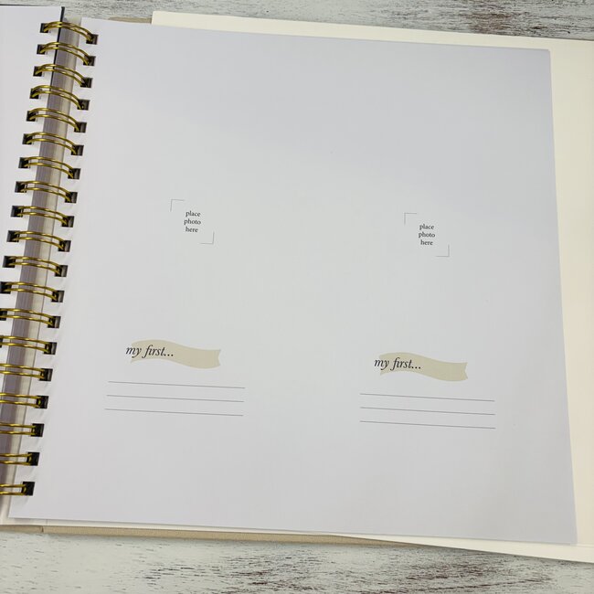 Paper Peony Press The Baby Memory Book (Modern)