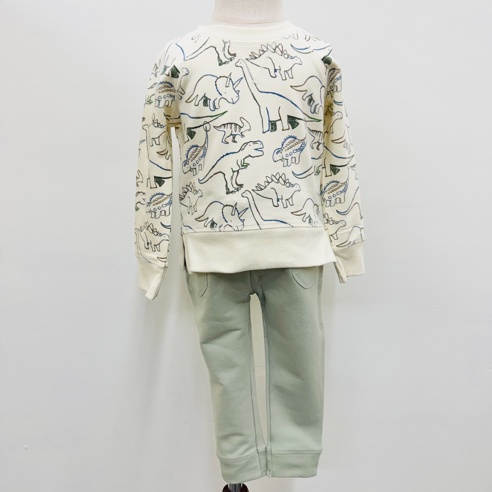 Angel Dear Raglan Sweatshirt and Jogger Set - Artsy Dinos