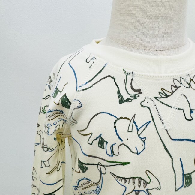 Angel Dear Raglan Sweatshirt and Jogger Set - Artsy Dinos