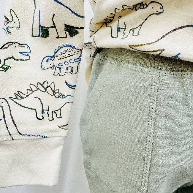 Angel Dear Raglan Sweatshirt and Jogger Set - Artsy Dinos