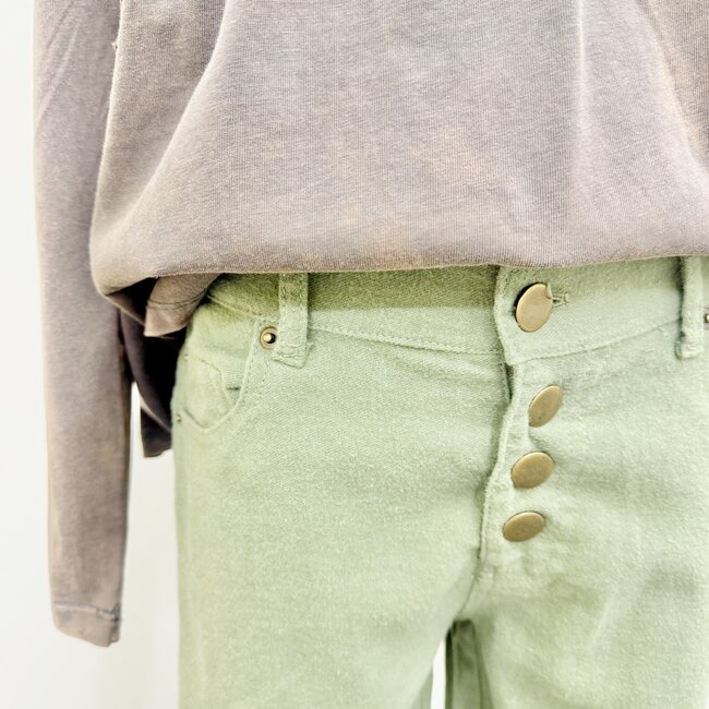 Vignette Hayden Pants - Cactus