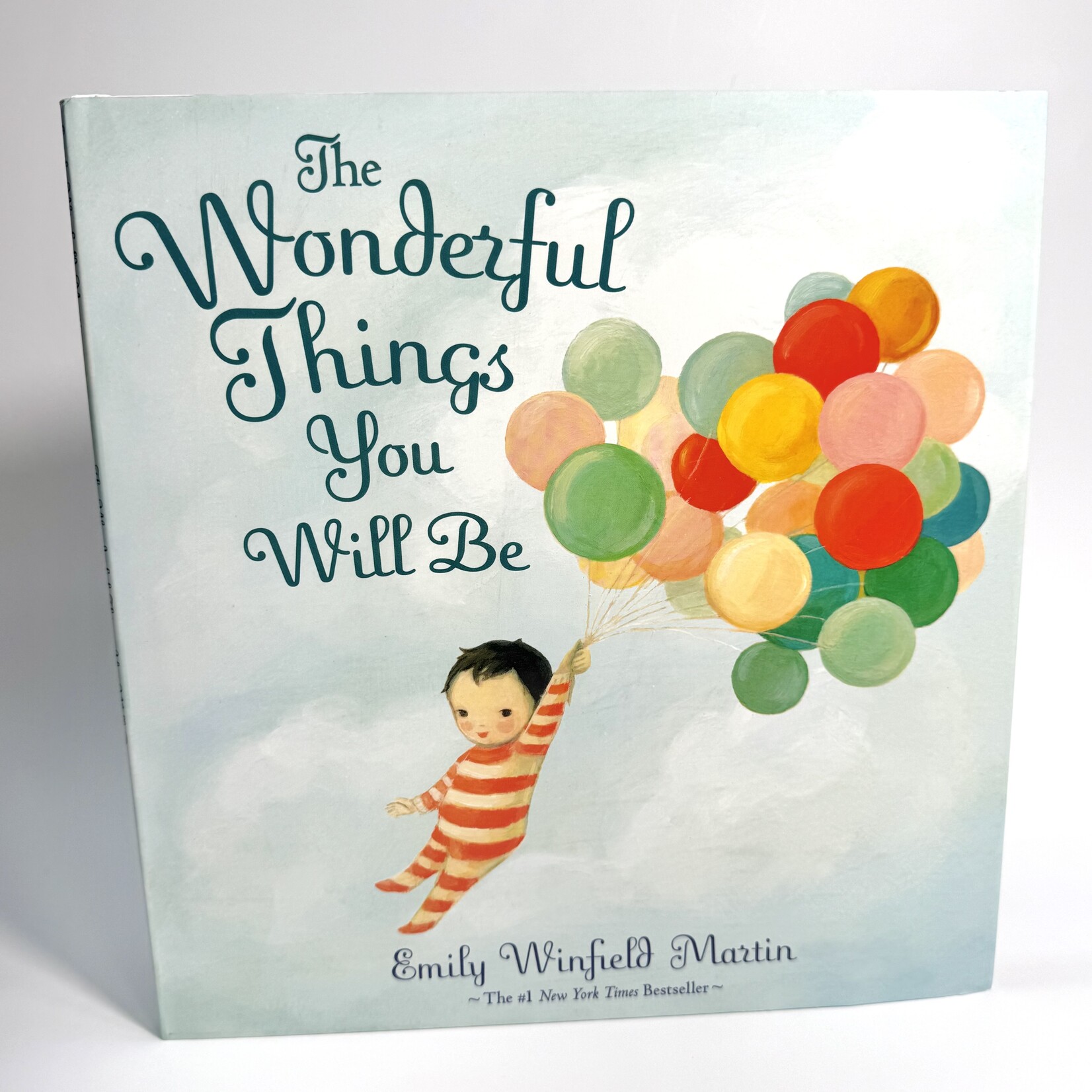 The Wonderful Things You Will Be Book