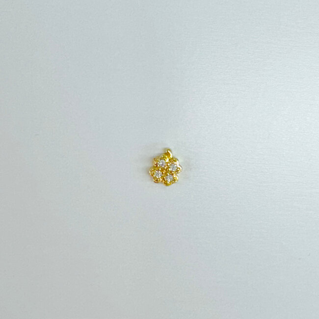 The Crowns Charms for Locket